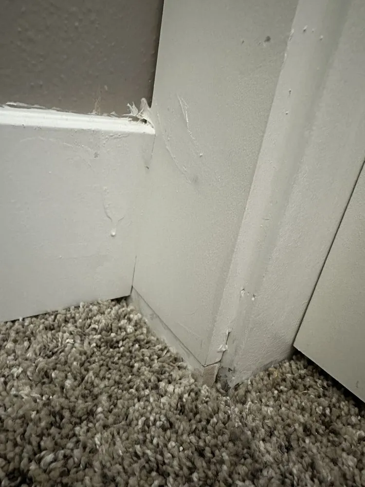 Professional electrical service for homes in emergency electrical service, by