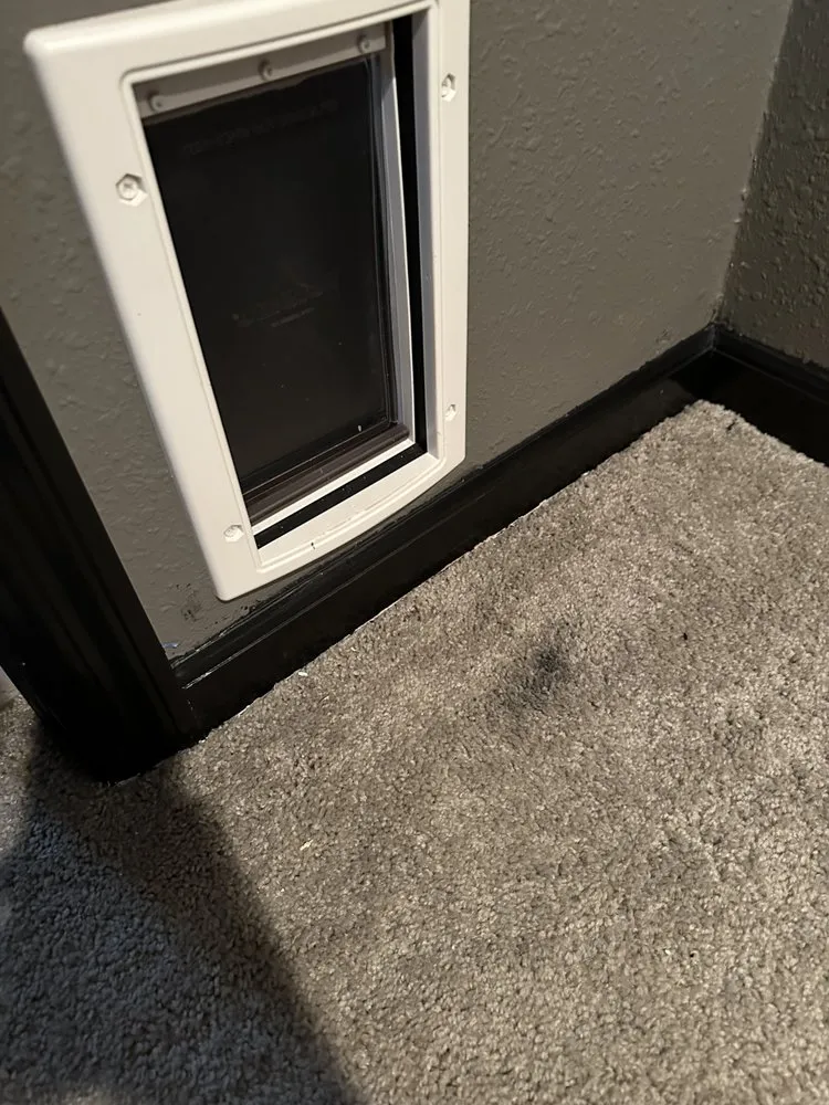 Slide of J. Wilson construction