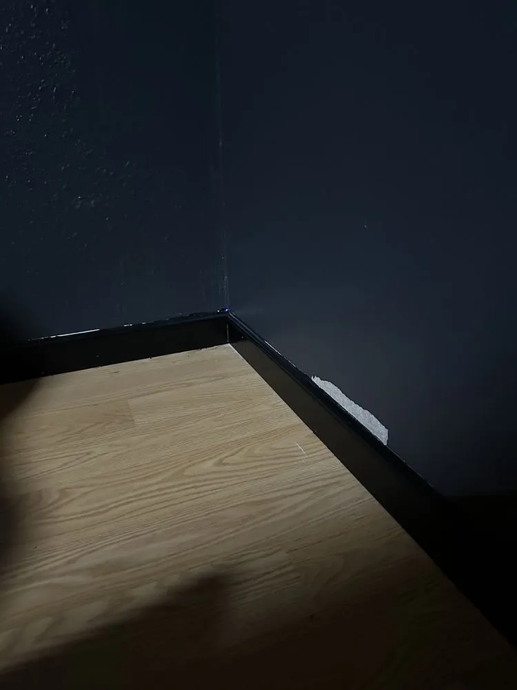 Slide of J. Wilson construction