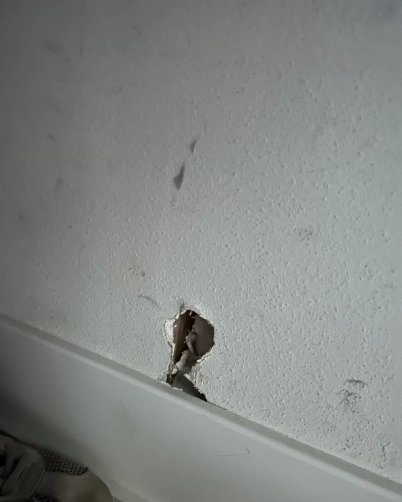 Slide of J. Wilson construction