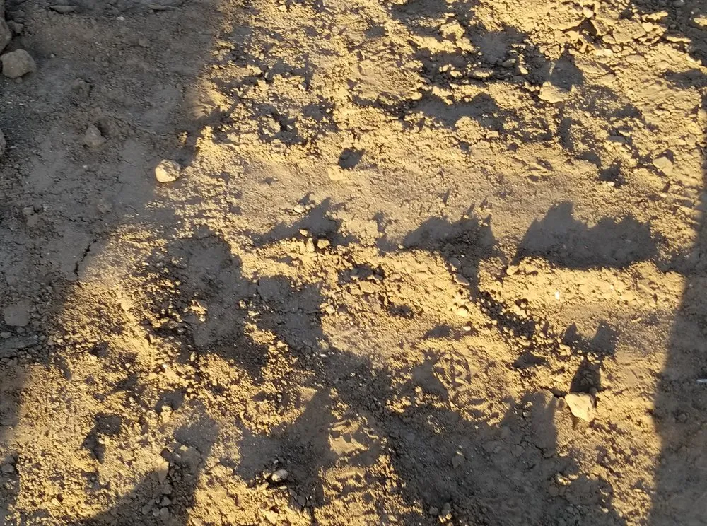 Slide of J Z Design Build