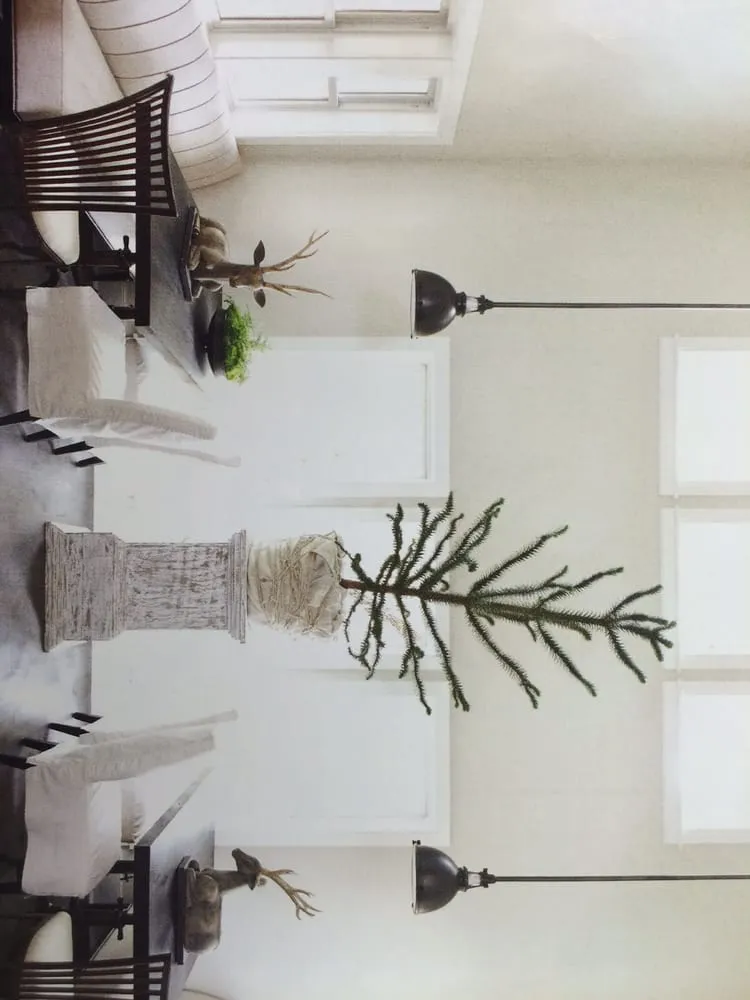 Slide of Jack C. Glass Electric