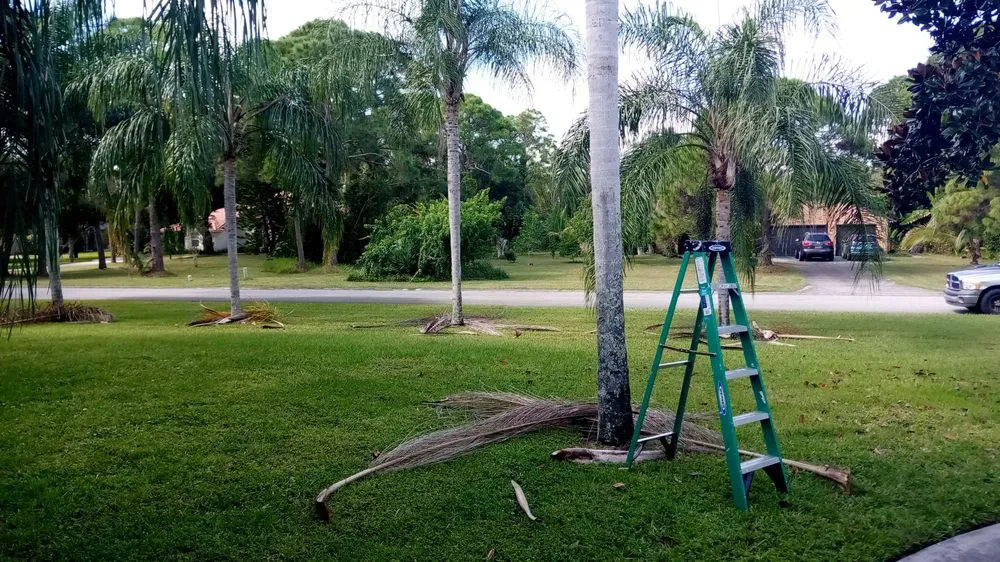 Certified wiring installation in ,  by Jacob's Ladder Services