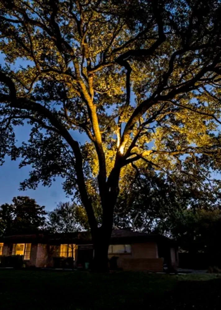 Slide of JAM Customs Electrical Service