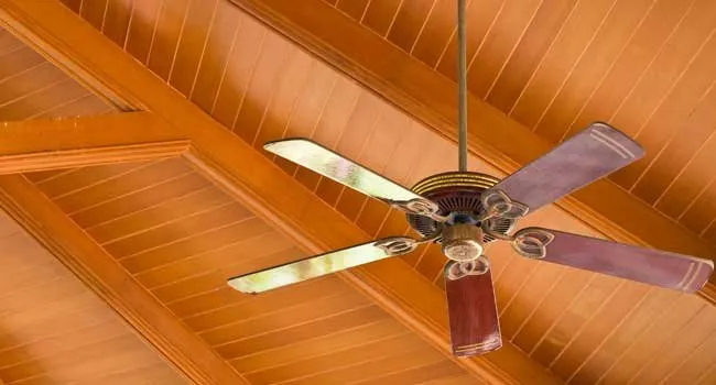 Slide of James Electric