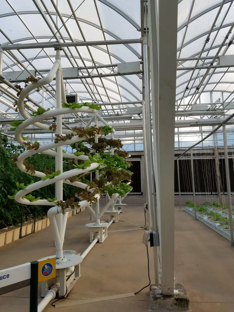 Expert lighting installation experts serving Holland, MA - James M. Butler Electric