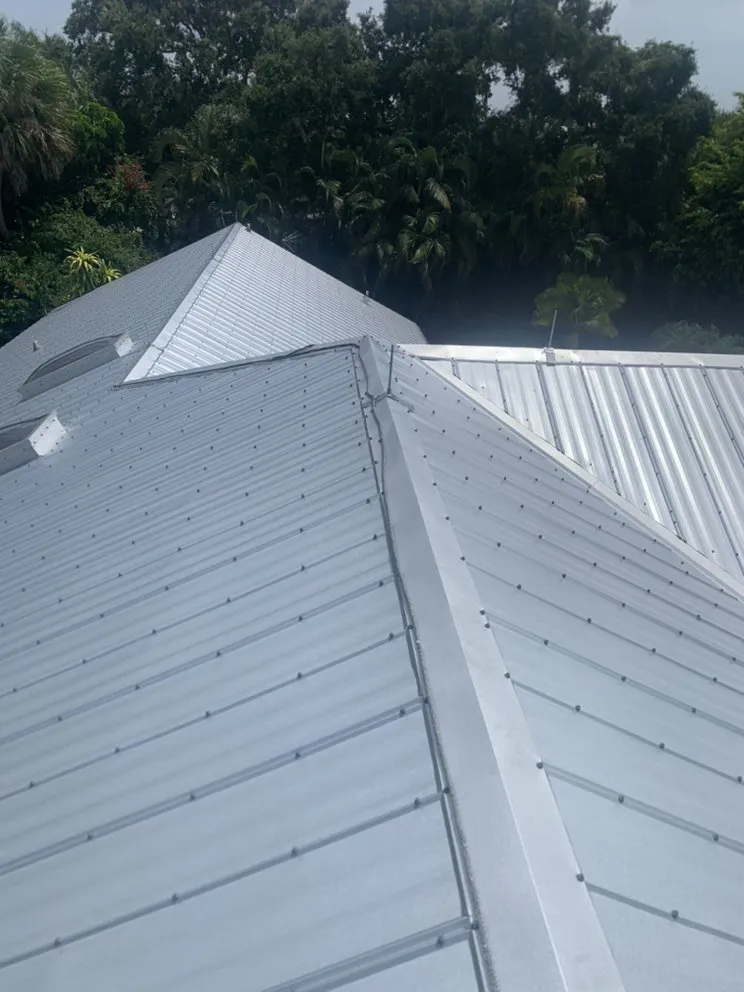 Slide of James townsley lightning rods