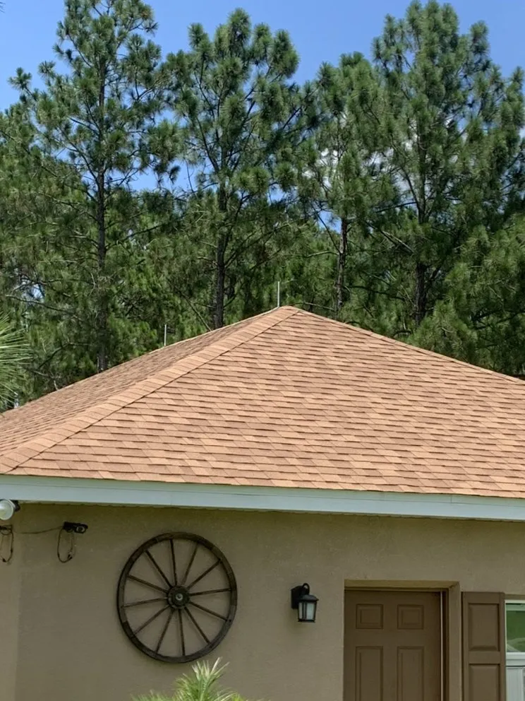 Slide of James townsley lightning rods