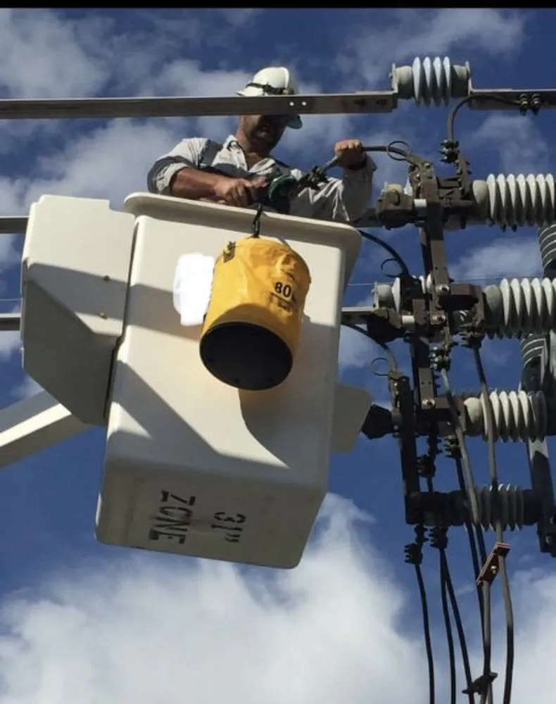 Slide of Jamie Murrow electric