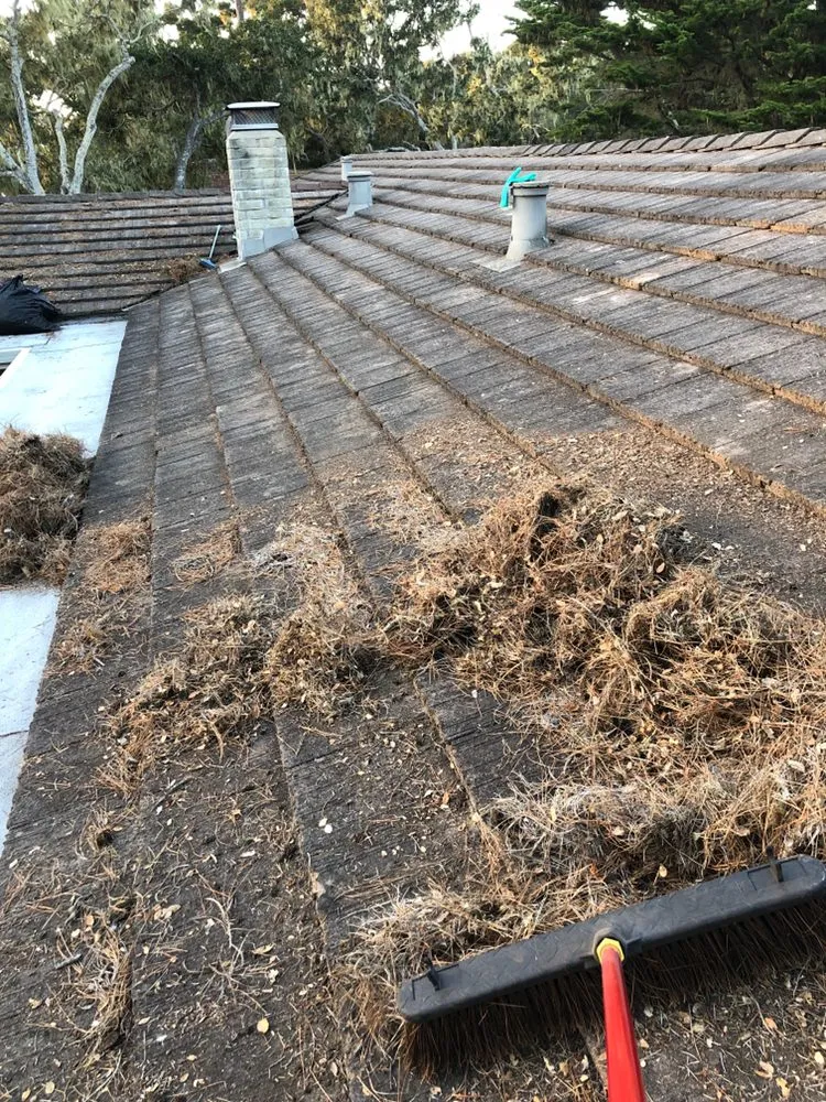 Slide of Janitorial & Home Repair Services