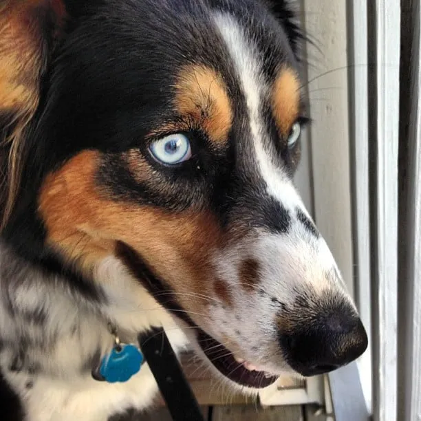 Slide of Jarus Electric