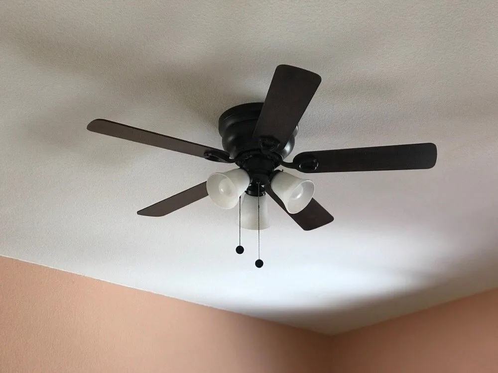 Slide of JAV Electric