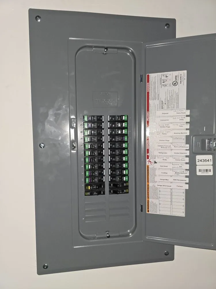 Slide of Javier Carrasco