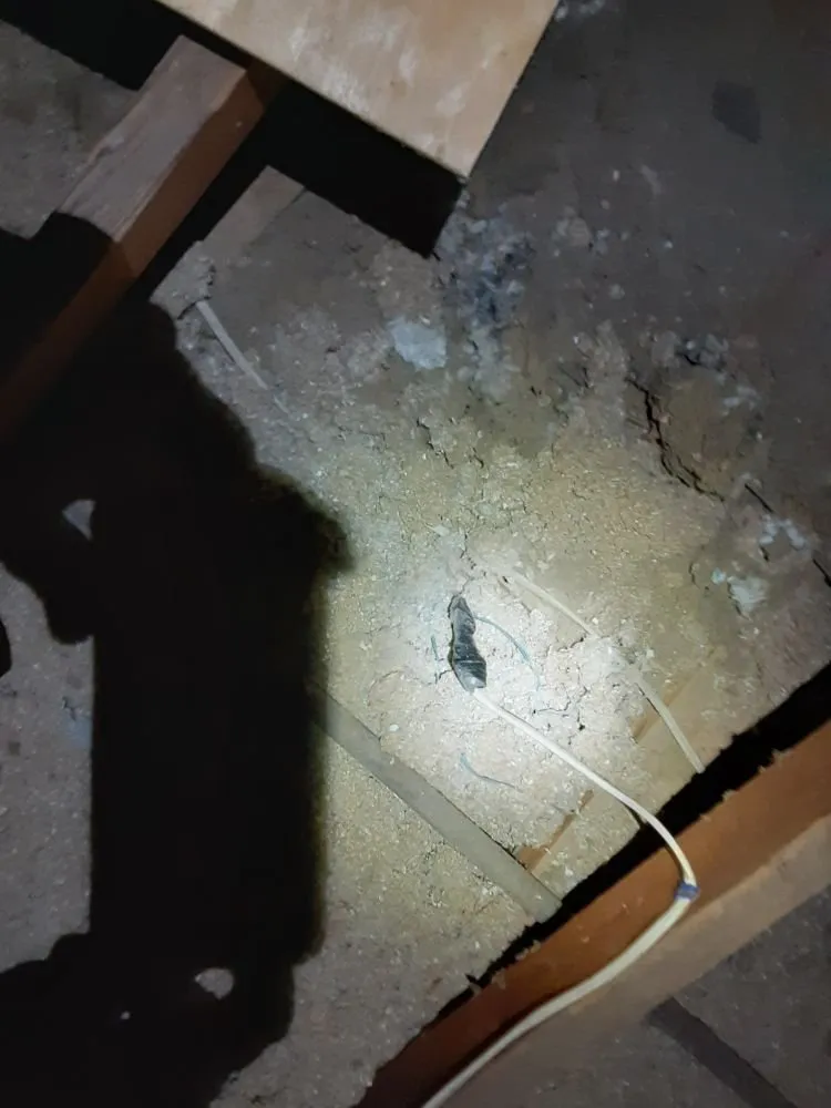 Slide of Jay Johnson Electrician