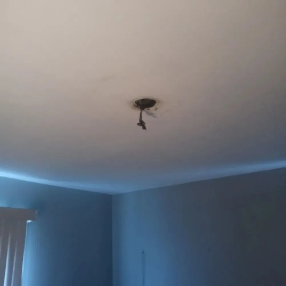 Slide of Jay’s Handy Services