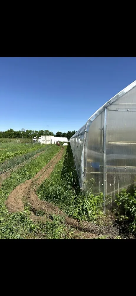 Slide of J.B Electric