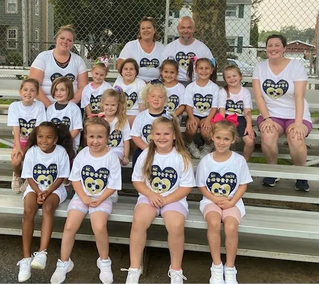 Affordable electrical service for homes in panel upgrade,  by 