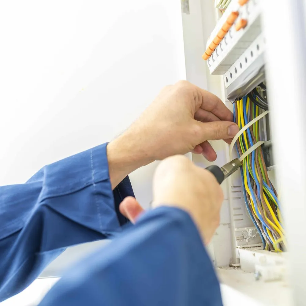 Professional electrical service for homes in panel upgrade, by