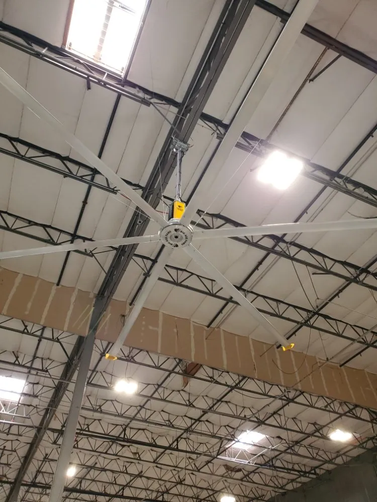 Affordable electrical service for homes in outlet and switch repair, by