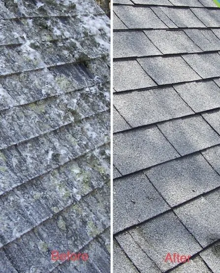 Slide of JCE Service