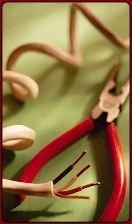 Slide of JD Blasberg Electric