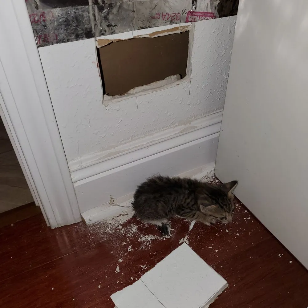 Slide of Jeff of All Trades