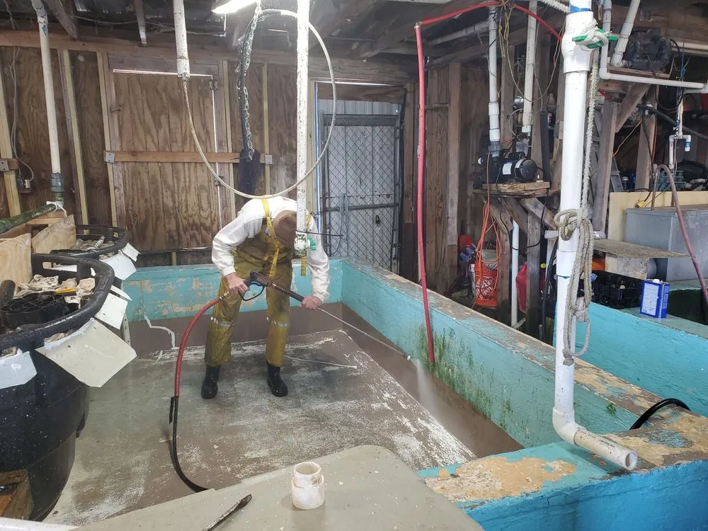 Slide of Jeff of All Trades