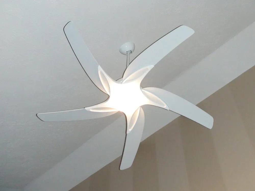 Slide of Jeff Thomas Electric