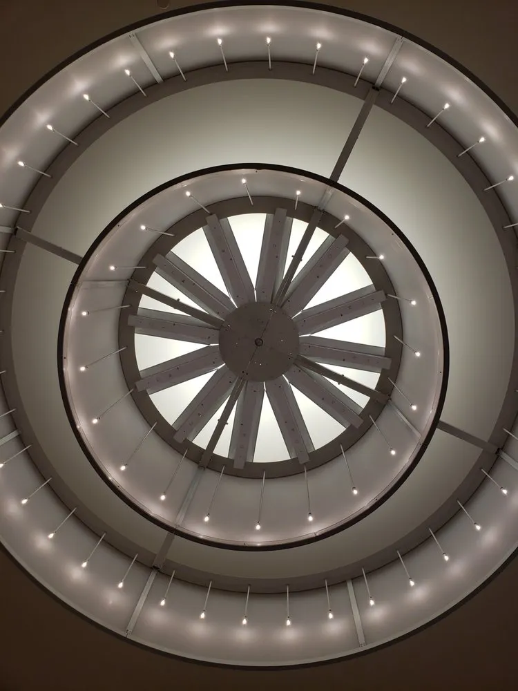 Expert electrician providing outlet and switch repair in , 