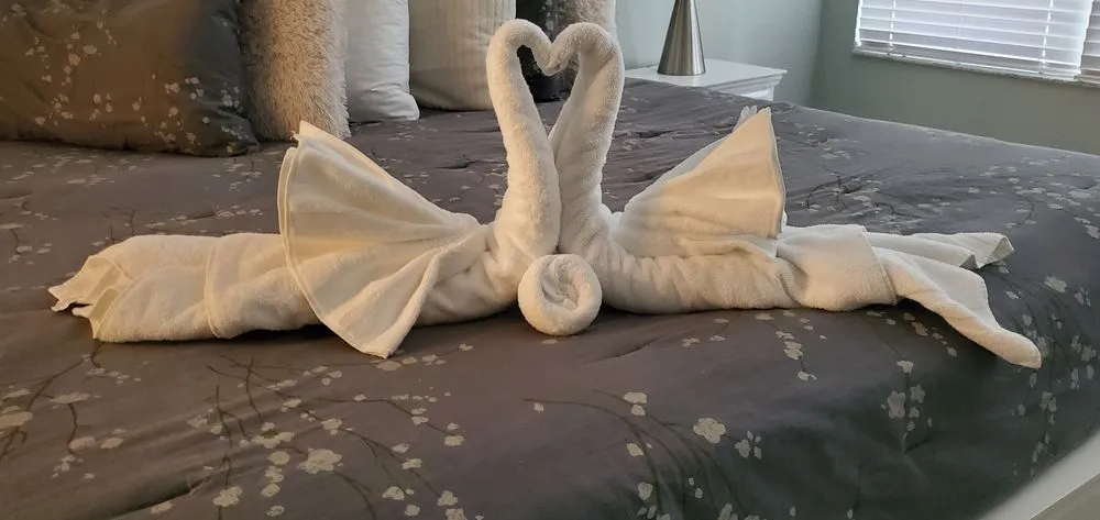 Slide of Jemms Maintenance