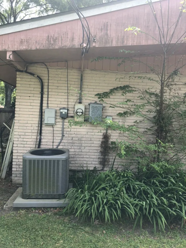 Slide of Jeremy Veal Electric