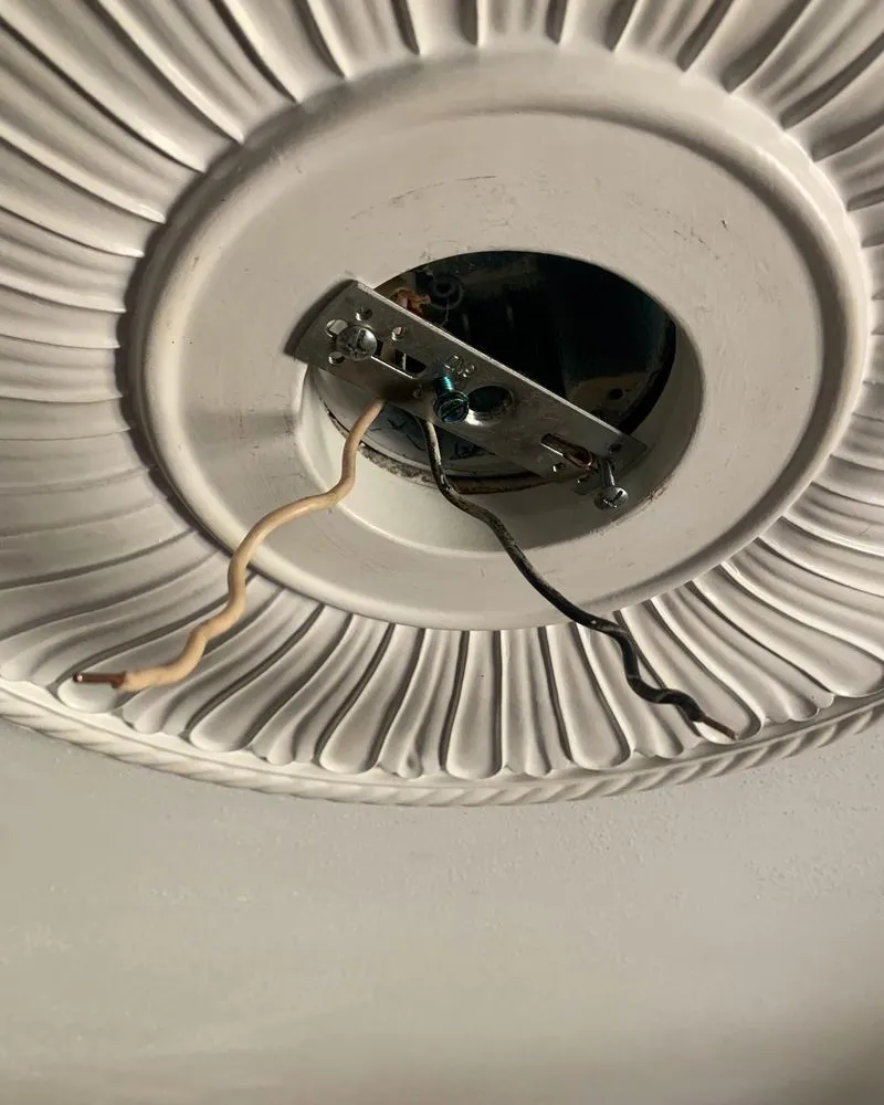 Slide of Jersey Jays Resource