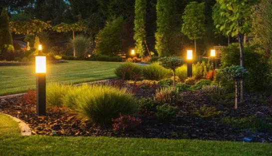 Slide of Jesselectric