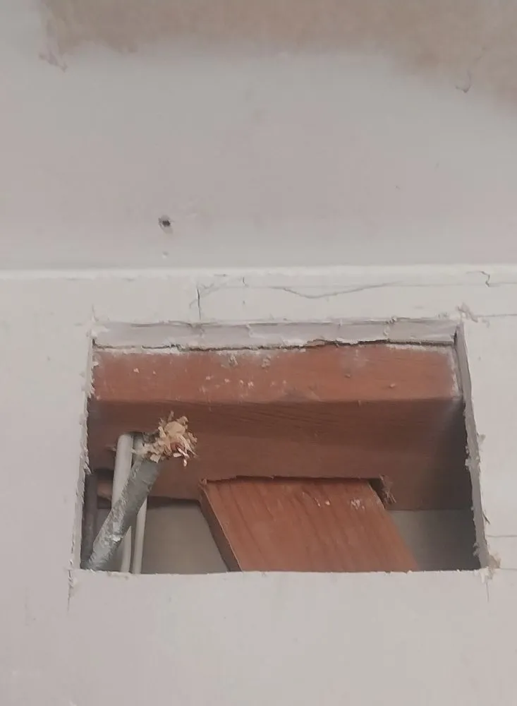 Slide of Jessthenater Electric