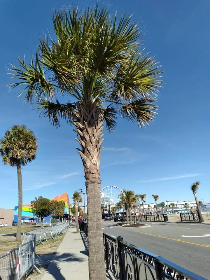 Slide of J&G Maintance Unlimited