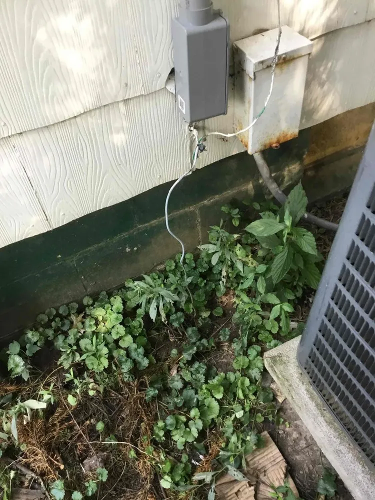 Slide of Jill Spear Electric, Inc.