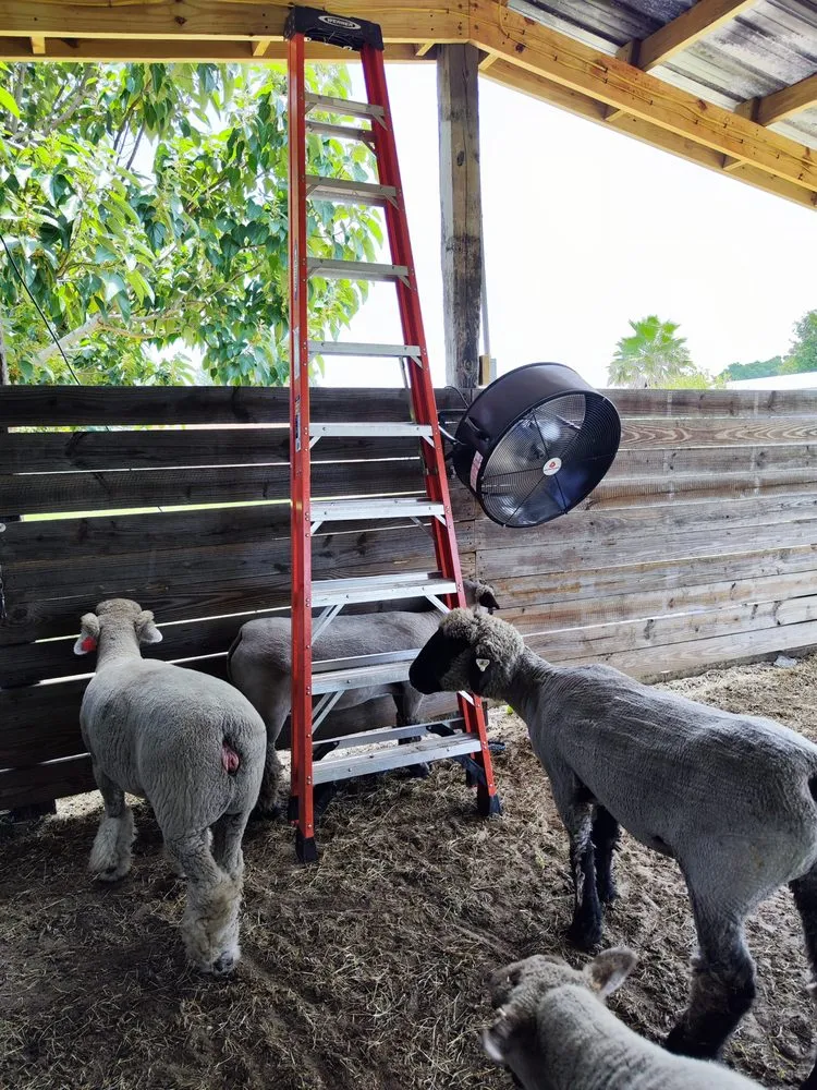 Slide of JJ Electricians