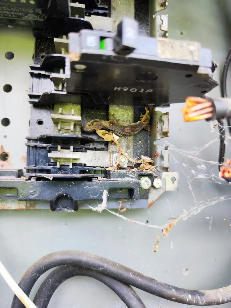 Slide of JJ Electricians