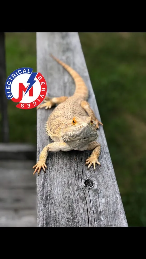 Slide of JM Electrical Services