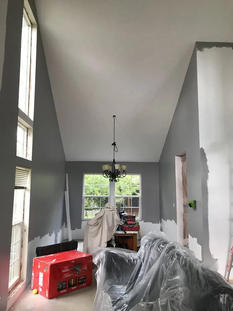 Expert panel upgrade in Blackberry Township, IL by JMU construction