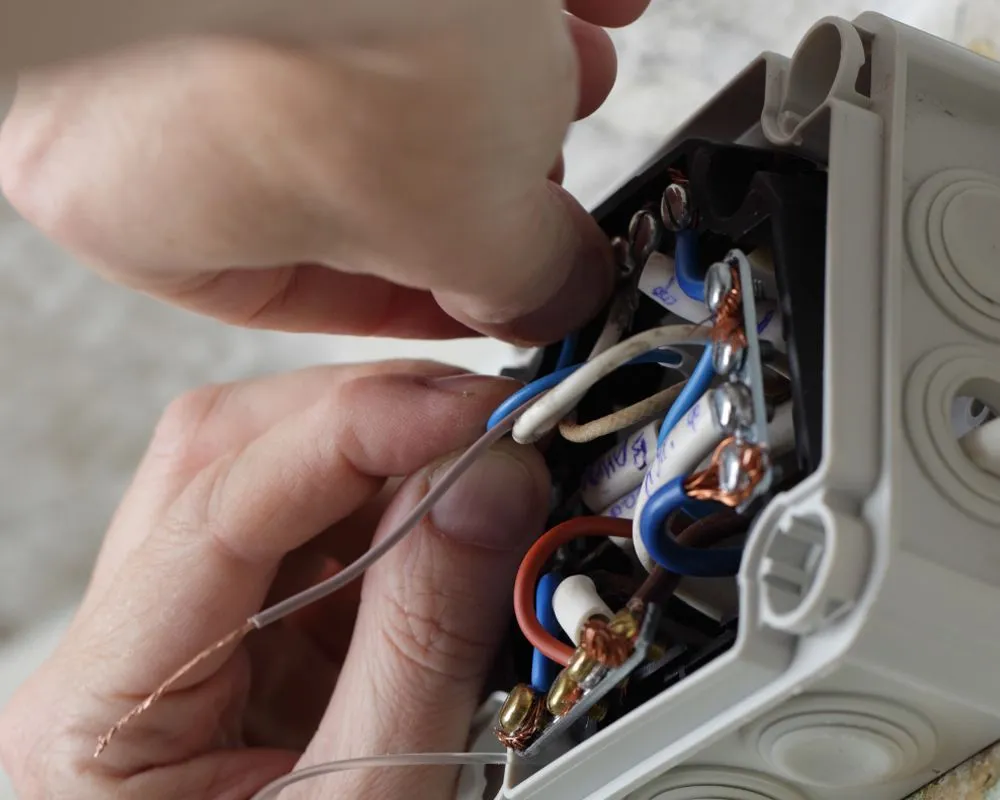 Slide of Joe Electric