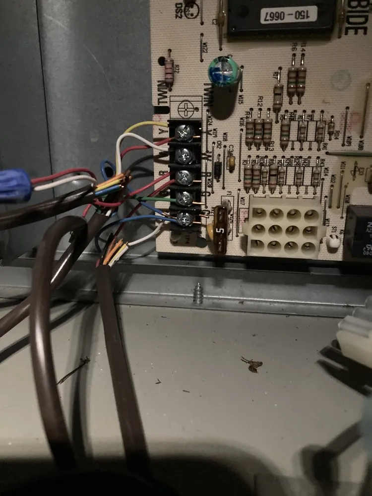 Slide of John of all Trades