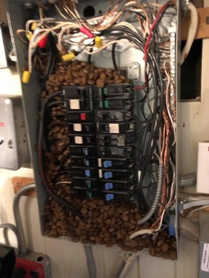 Slide of John Teheen Master Electrician