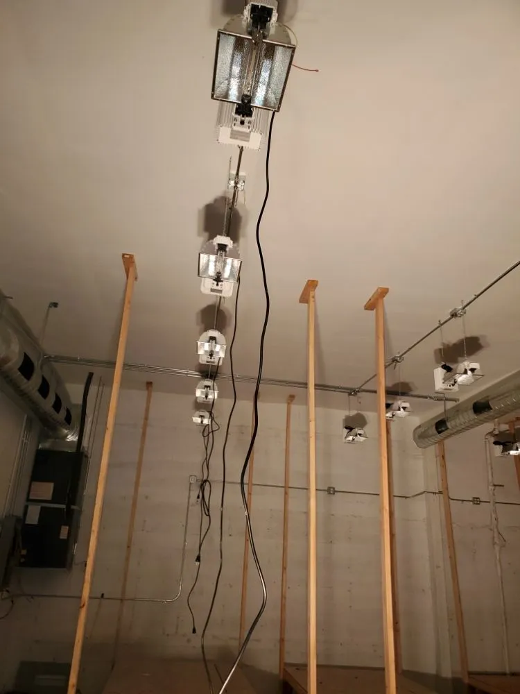 Slide of Johnny B1 Electric