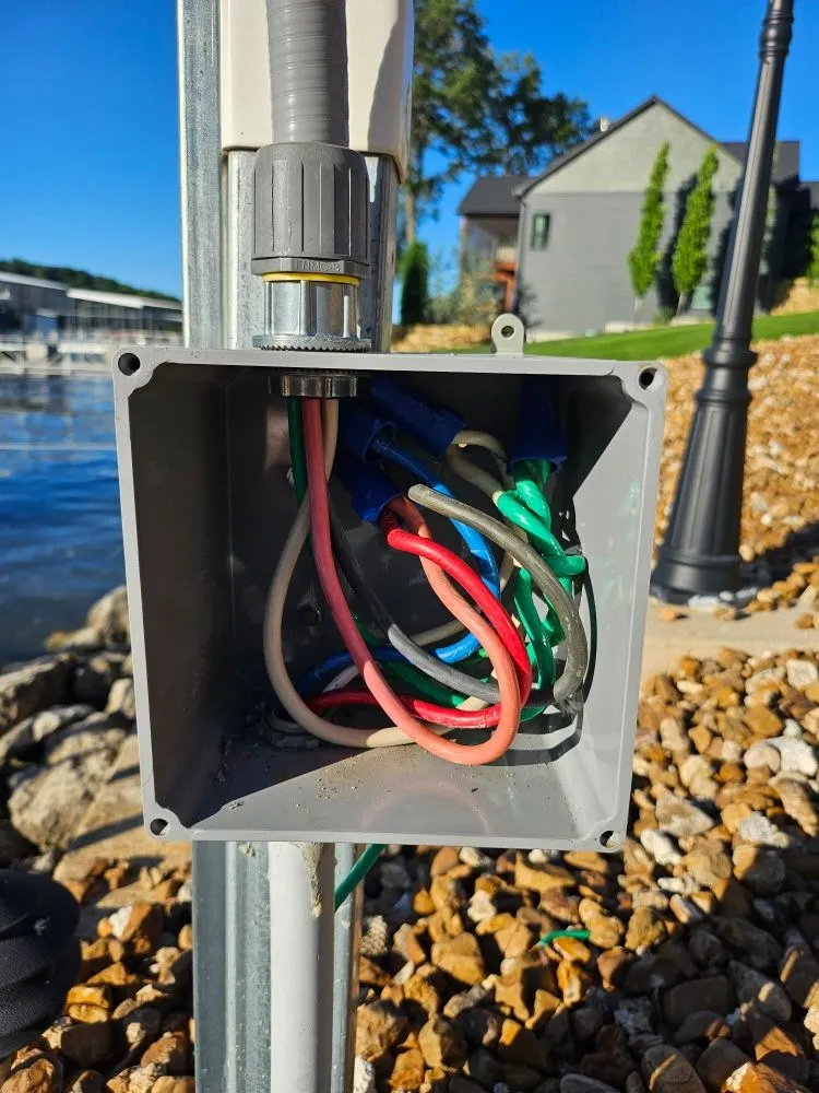 Slide of Johnny Electric