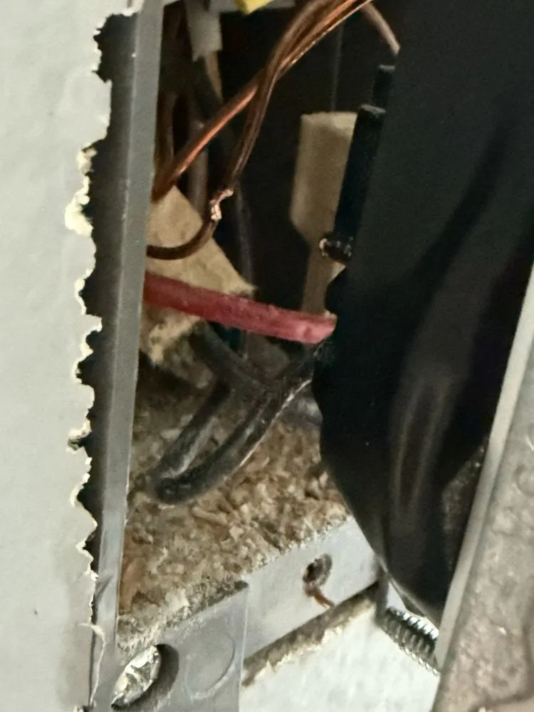 Slide of Johnny Electric