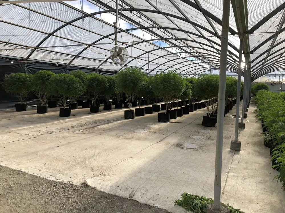 Expert electrical repair service in ,  - Johnson Electric & Controls