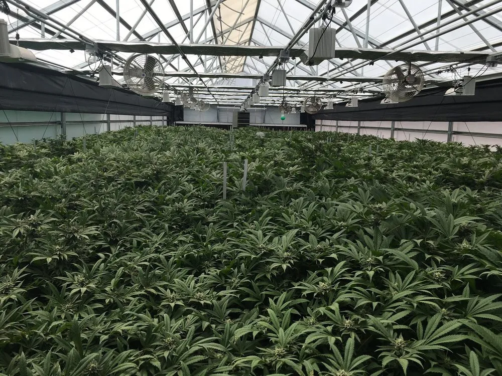 Certified electrician providing electrical repair in , 