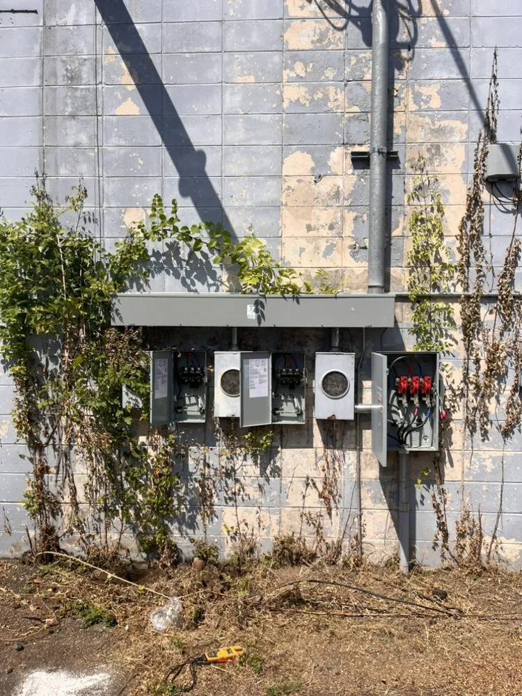 Slide of Johnson Electric