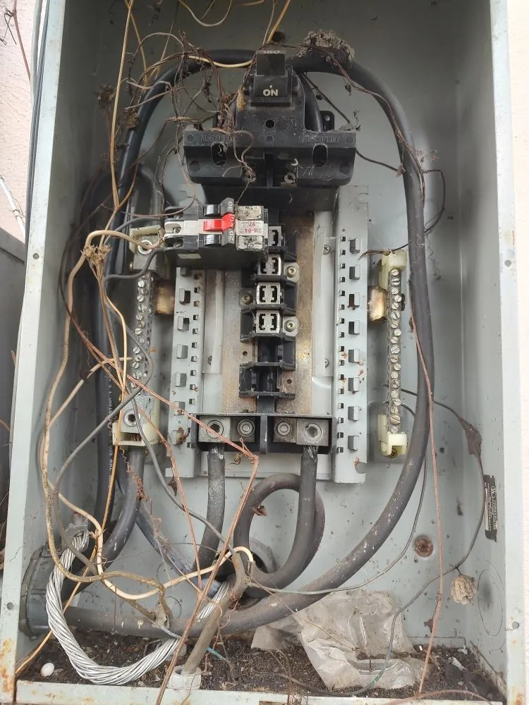 Slide of Johnson Electric